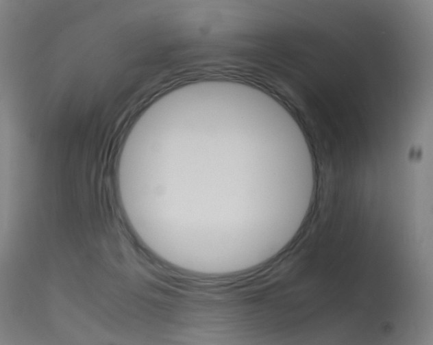 X0000115620217200911101103