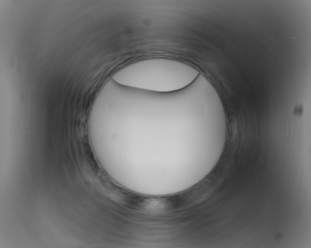 X0000115620218200911101103