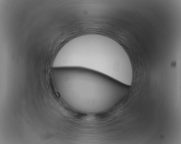 X0000115620219200911101103