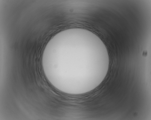 X0000115620223200911101103