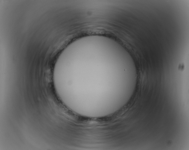 X0000115620224200911101103