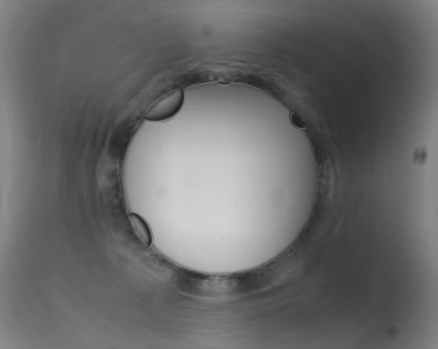 X0000115620225200911101103