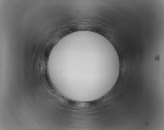 X0000115620226200911101103