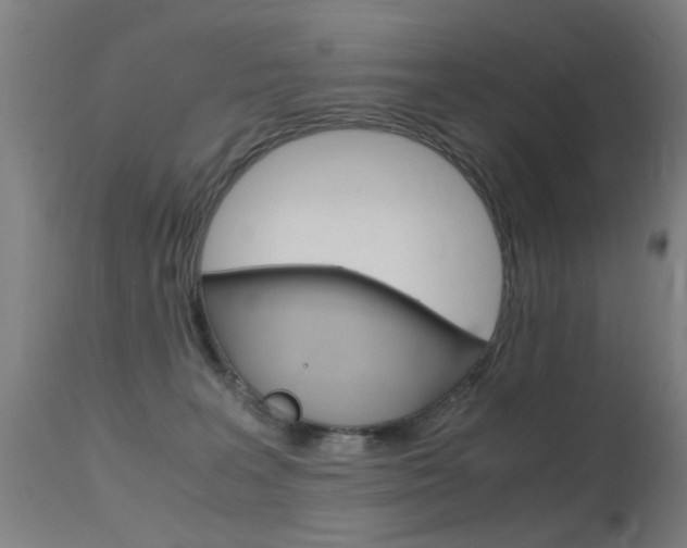 X0000115620227200911101103