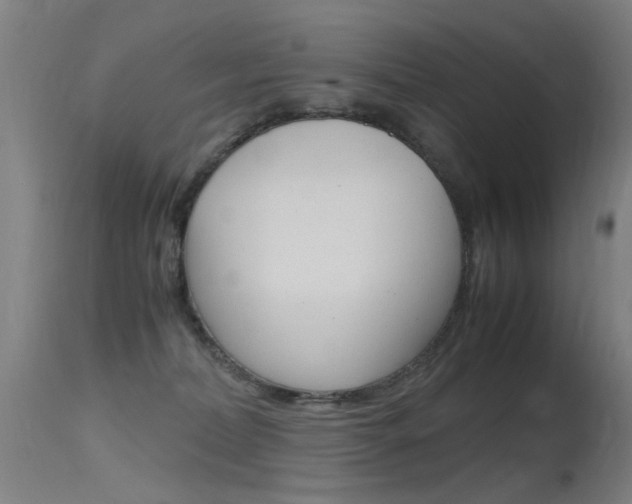 X0000115620228200911101103