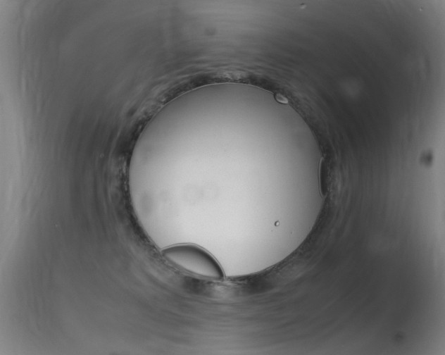 X0000115620229200911101103