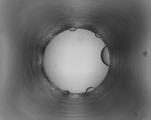 X0000115620230200911101103