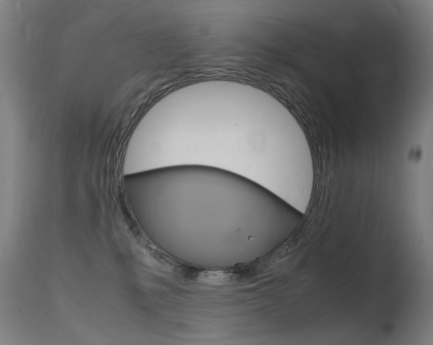 X0000115620231200911101103