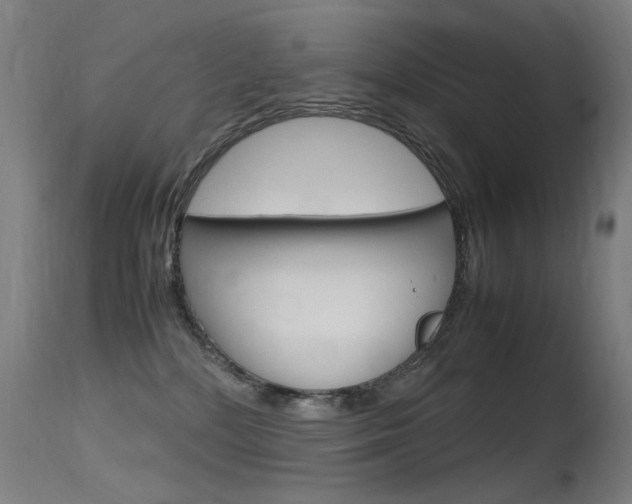 X0000115620232200911101103