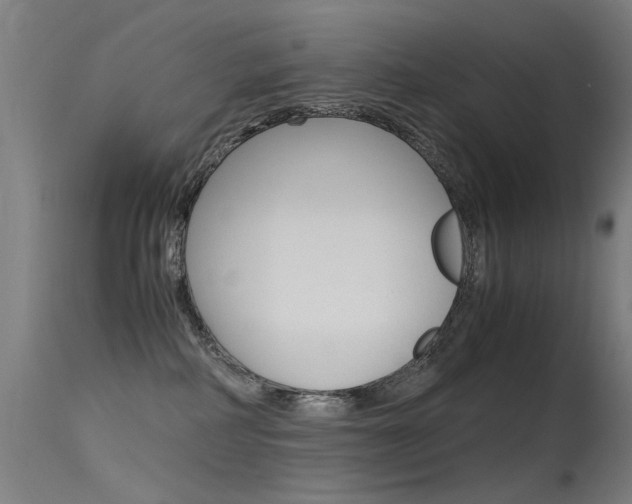 X0000115620234200911101103