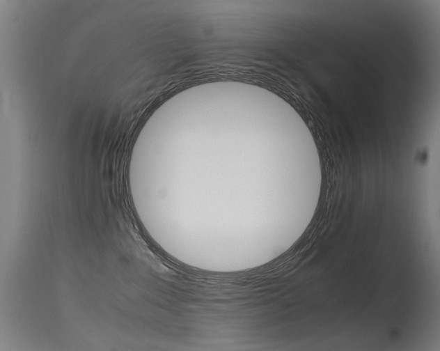 X0000115620235200911101103