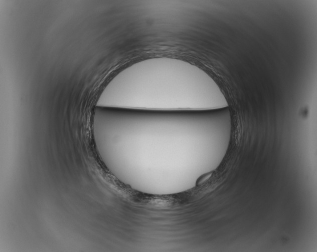 X0000115620236200911101103