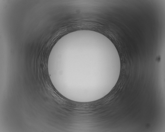 X0000115620237200911101103