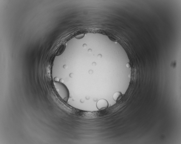 X0000115620238200911101103