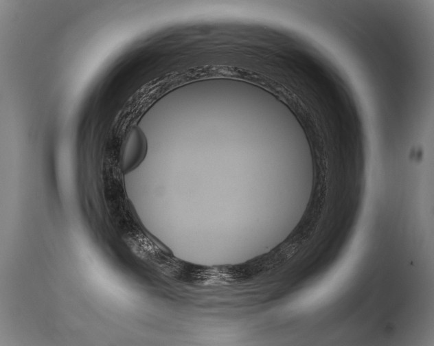 X0000115620239200911101103