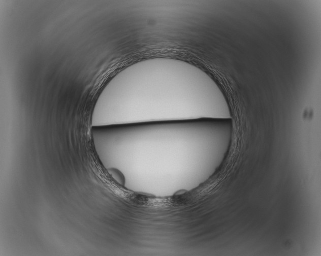 X0000115620240200911101103