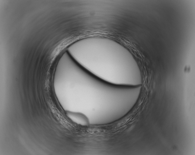 X0000115620242200911101102