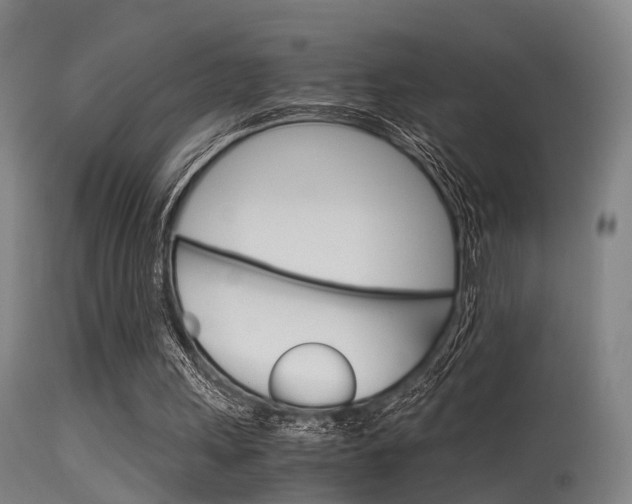 X0000115620243200911101102