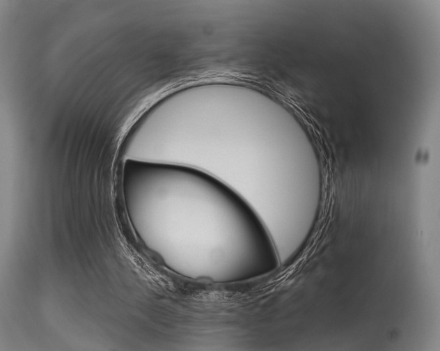 X0000115620244200911101102