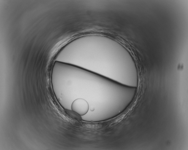 X0000115620245200911101102