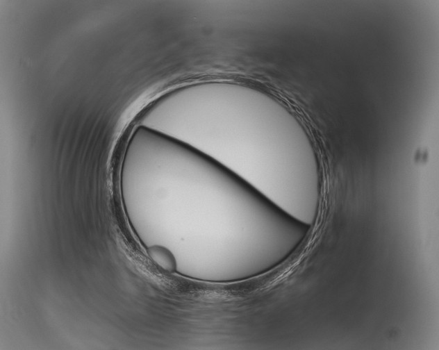 X0000115620246200911101102