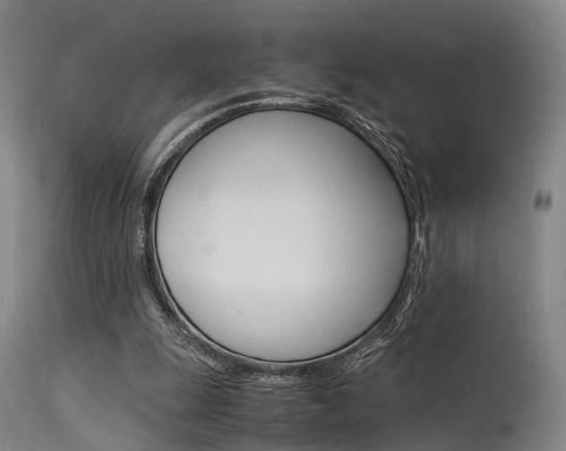 X0000115620247200911101102