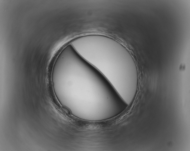 X0000115620248200911101102