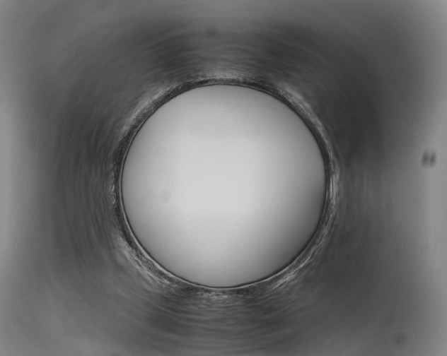 X0000115620249200911101102