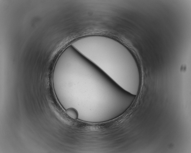 X0000115620250200911101102