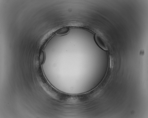 X0000115620252200911101102