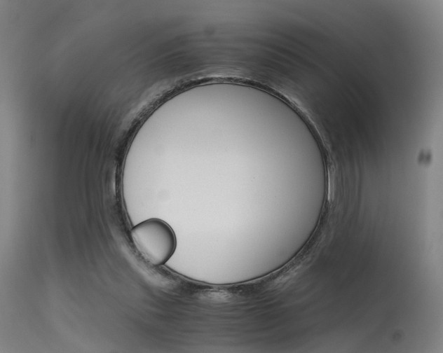 X0000115620253200911101102