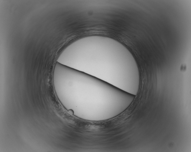 X0000115620255200911101102