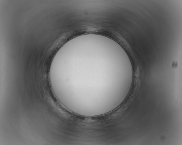 X0000115620257200911101103