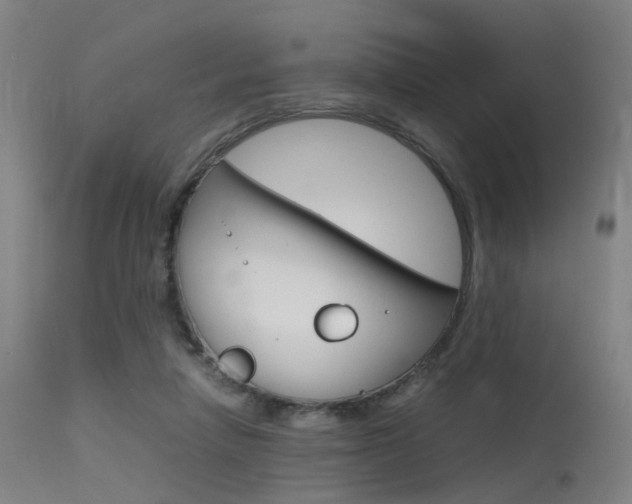 X0000115620258200911101103