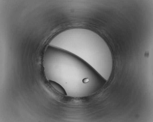 X0000115620260200911101103