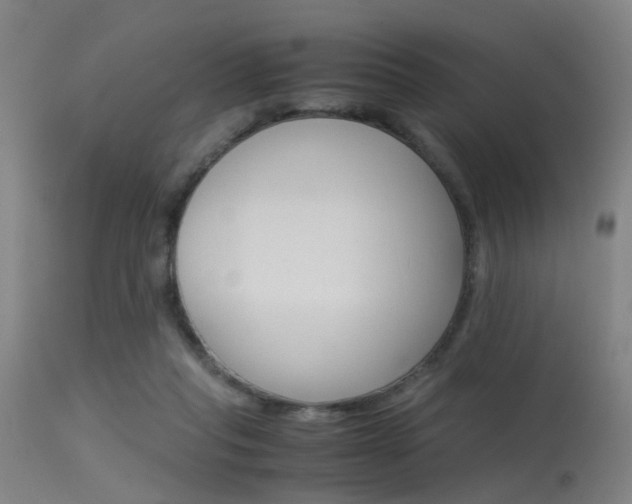 X0000115620261200911101103