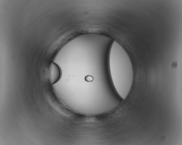 X0000115620262200911101103