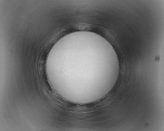 X0000115620263200911101103