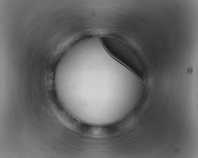 X0000115620264200911101103