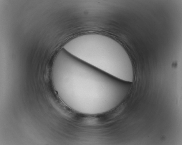 X0000115620266200911101103