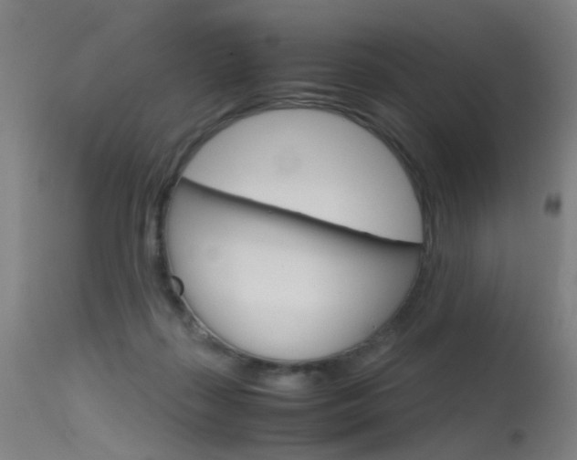 X0000115620267200911101103