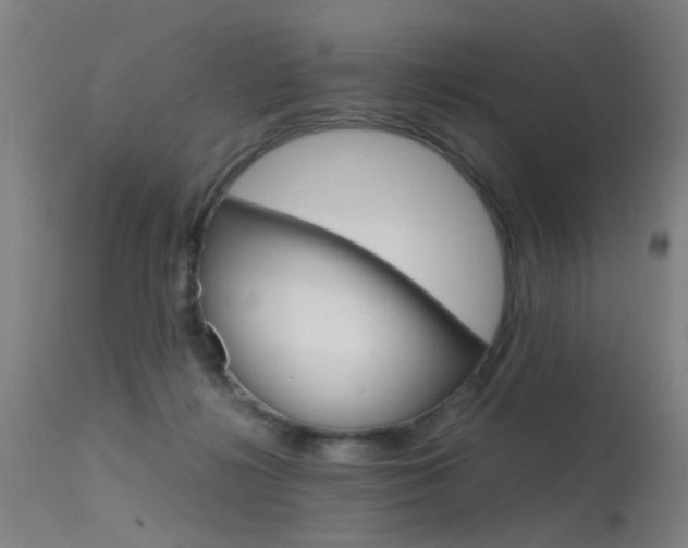 X0000115620268200911101103