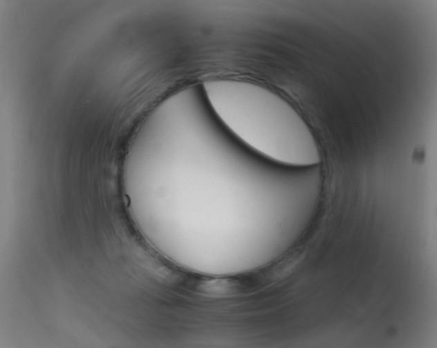 X0000115620269200911101103