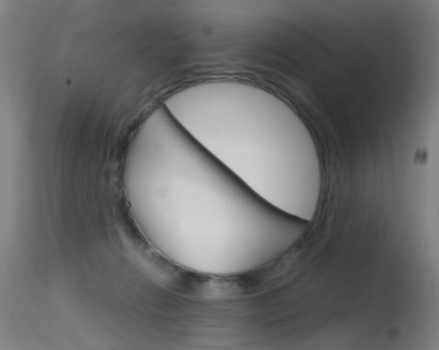 X0000115620270200911101103