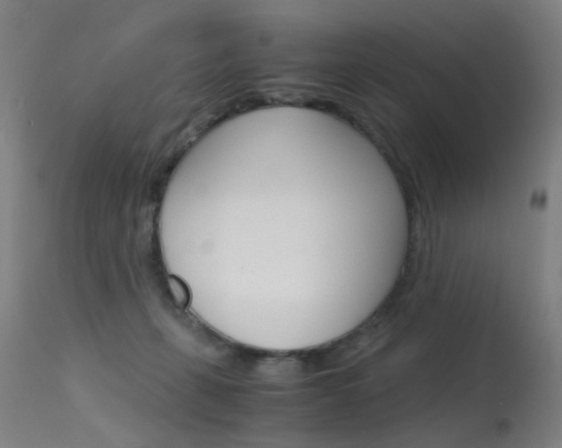 X0000115620271200911101103