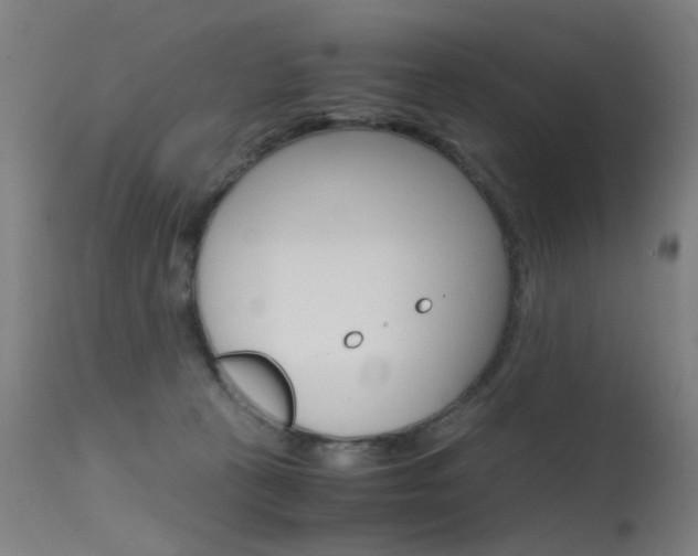 X0000115620273200911101103