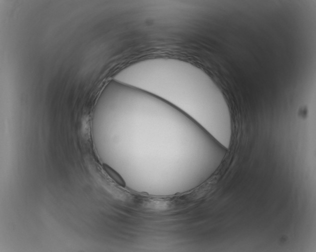 X0000115620276200911101103