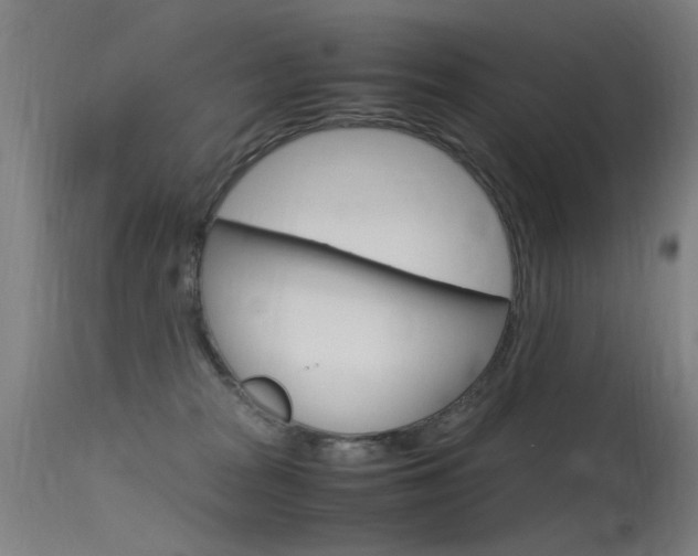 X0000115620277200911101103