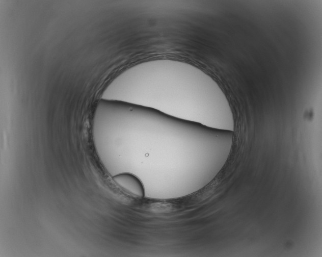 X0000115620279200911101103