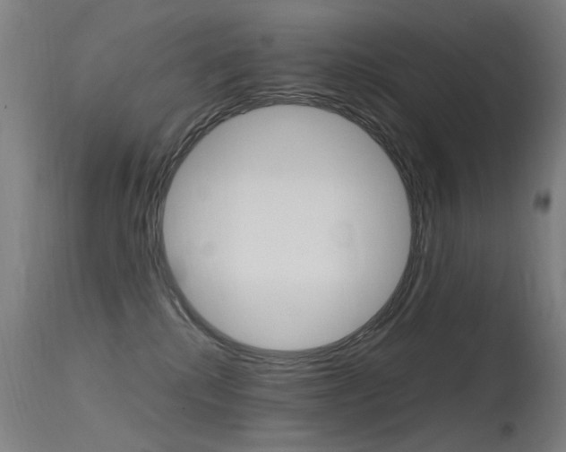 X0000115620280200911101103